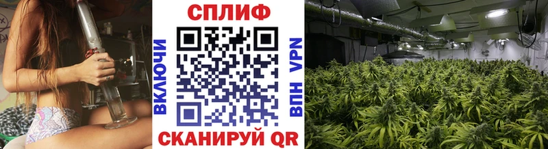 гидра как зайти  Бийск  Марихуана план  площадка Telegram  даркнет сайт 